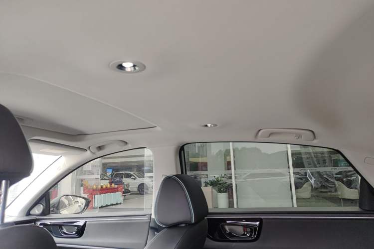 Used Honda e:NP2 2024 Advanced Edition Headliner