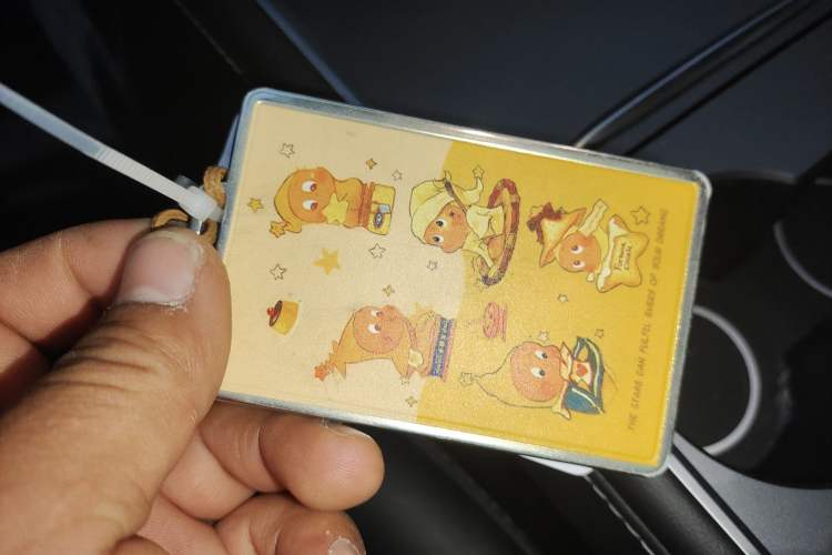 Used Tesla Model Y 2022 Revised Version Long-Range All-Wheel Drive