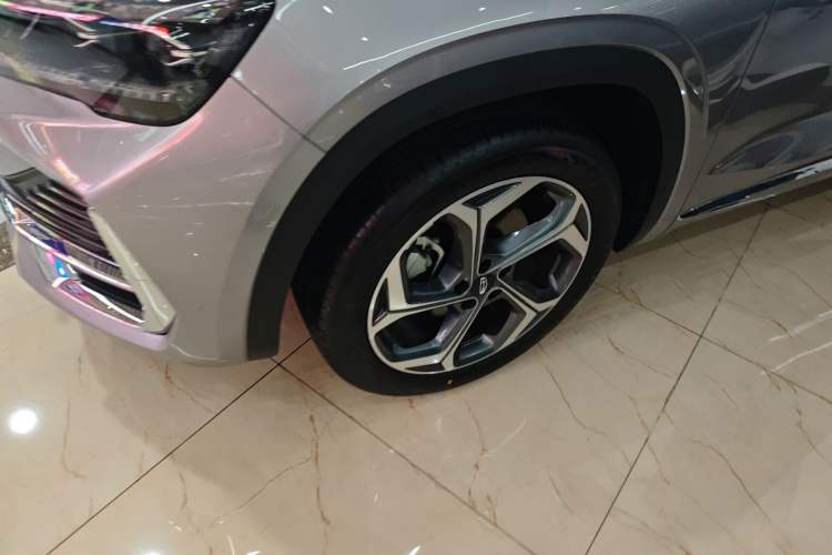 Used Geely Auto Monjaro L 2024 2.0TD DCT EVO Two-Wheel Drive Long-Range Version