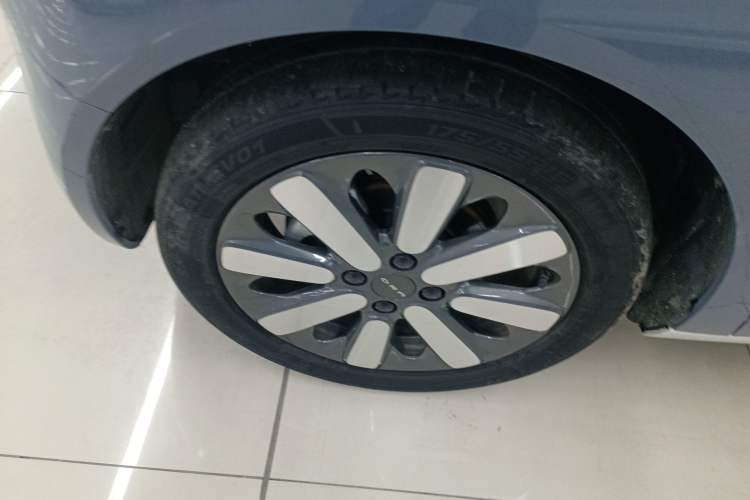 Used ORA Black Cat 2021 351 km Luxury Version