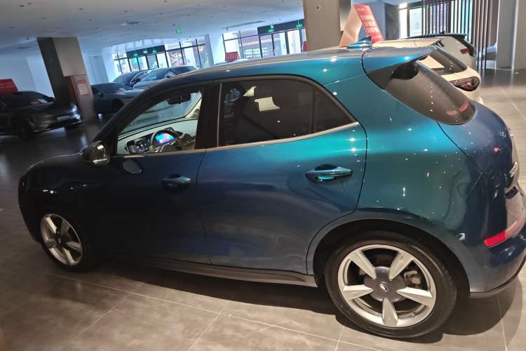 Used ORA Good Cat 2023 401 km Standard Range Luxury Version Lithium Iron Phosphate
