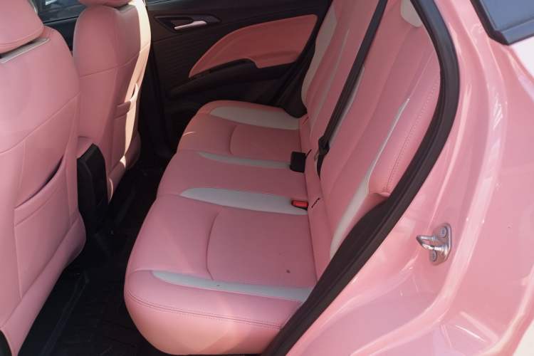 Used NETA V 2022 Chao 400 Lite Pink Custom Edition Left Rear Seat