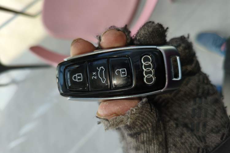 Used Audi A6L 2022 45 TFSI quattro Prestige Elegant Edition