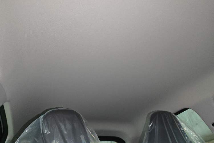 Used Leapmotor T03 2025 310 Comfort Edition Headliner