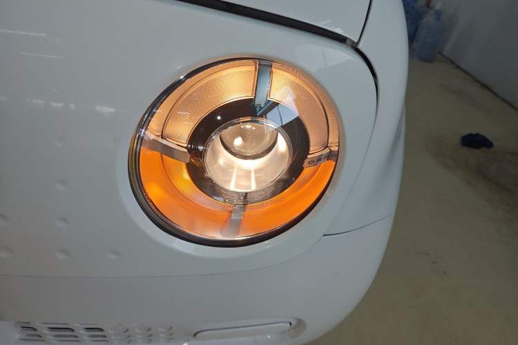 Used ORA Black Cat 2021 301 km Basic Version