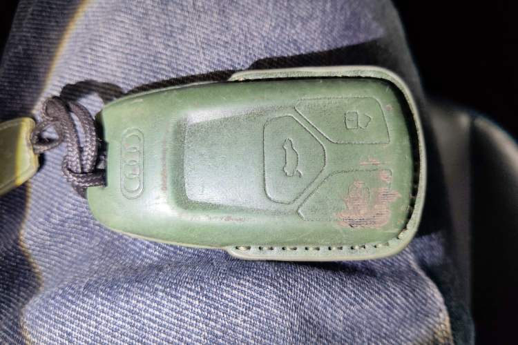 Used Audi Q2L e-tron 2019 Q2L e-tron Pure Electric Smart Style
