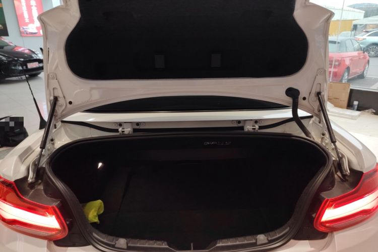 Used BMW 2 Series (Import) 2019 225i Convertible Coupe Sports Design Package
