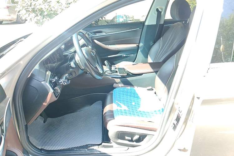 Used BMW 5 Series 2019 Facelifted 530Li Leading Edition Luxury Package
