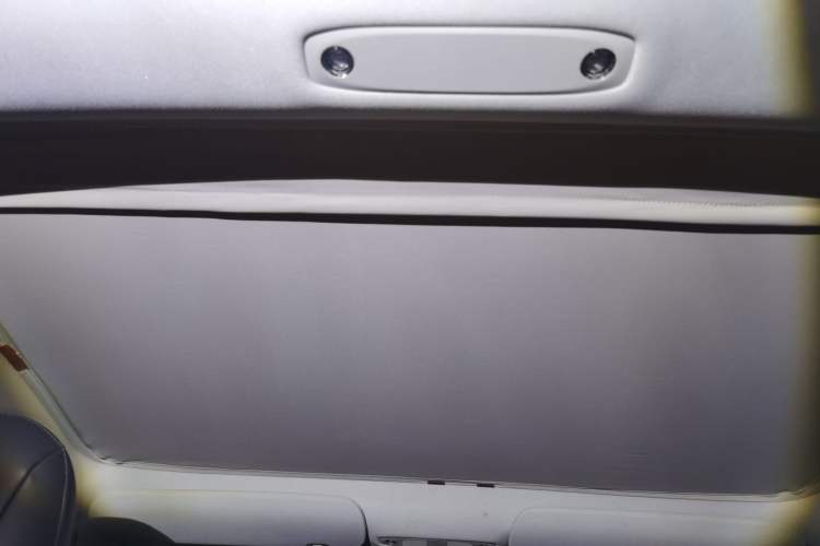 Used Tesla Model 3 2020 Long-Range Rear-Wheel-Drive Version Headliner