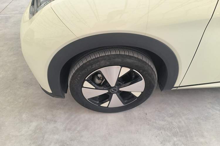 Used BYD Dolphin 2023 420 km Fashion Edition Exterior 4