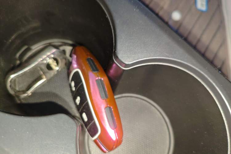 Used SOL E10X 2022 Flower Fairy Style Baby's Breath