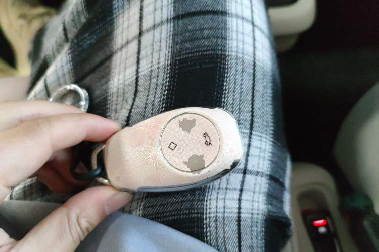 Used Leapmotor T03 2023 310 Lite Edition