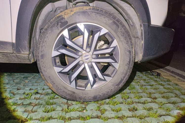 Used Haval DARGO 2022 1.5T DCT Two-Wheel Drive Border Collie Edition