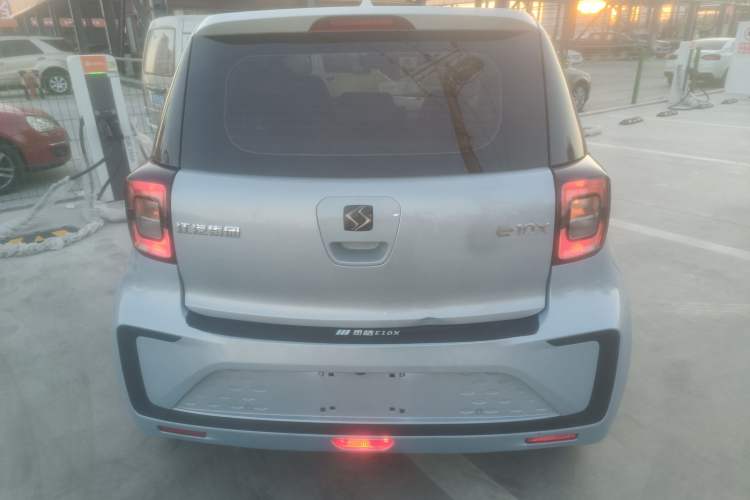 Used SOL E10X 2022 Flower Fairy Design Four-Leaf Clover
