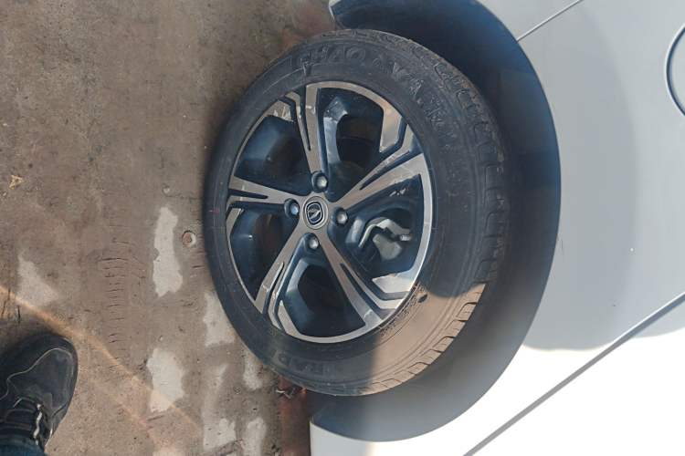 Used Oshan Benni E-Star 2020 Heart Edition Lithium Iron Phosphate (31.95 kWh)