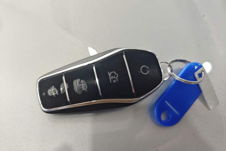 Used BYD Xia 2025 DM-i 1.5T 180km Excellence Model