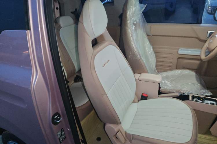 Used Geely Galaxy Panda 2024 Panda Mini 200km Endurance Bear Right Front Seat