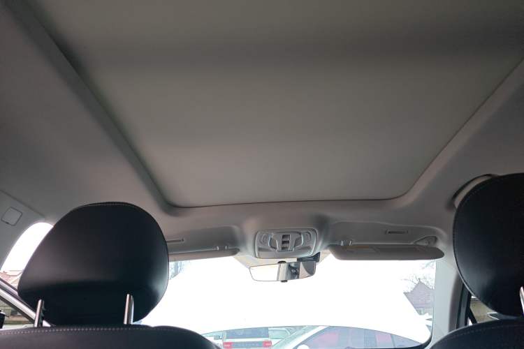 Used Roewe RX5 MAX 2022 1.5T Automatic Youwei Luxury Edition Headliner