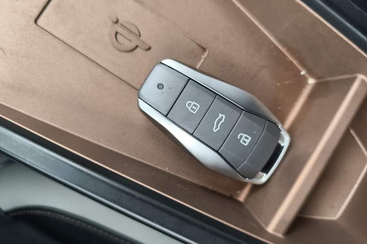 Used SOL E10X 2022 Flower Fairy Style Baby's Breath