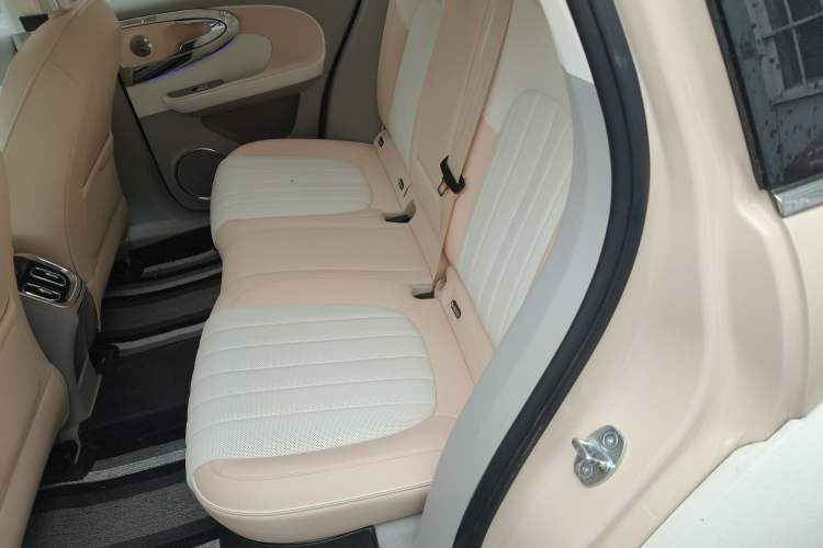 Used ORA Ballet Cat 2022 401 km Nutcracker Edition