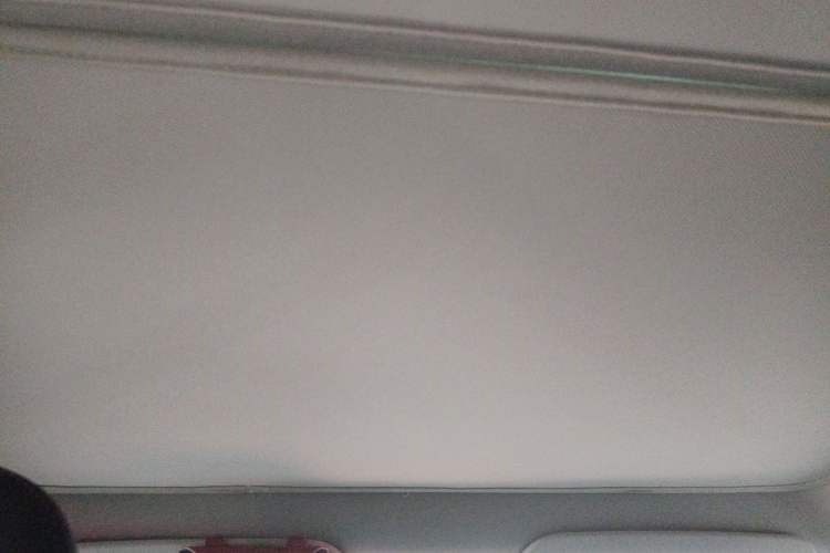 Used Tesla Model Y 2022 Revised Version Rear-Wheel Drive Headliner