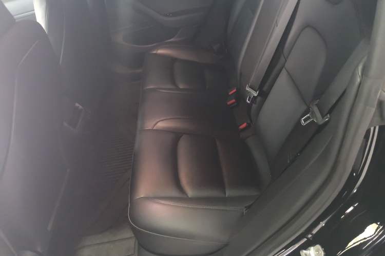 Used Tesla Model 3 2020 Standard Range Rear-Wheel Drive Upgraded Version