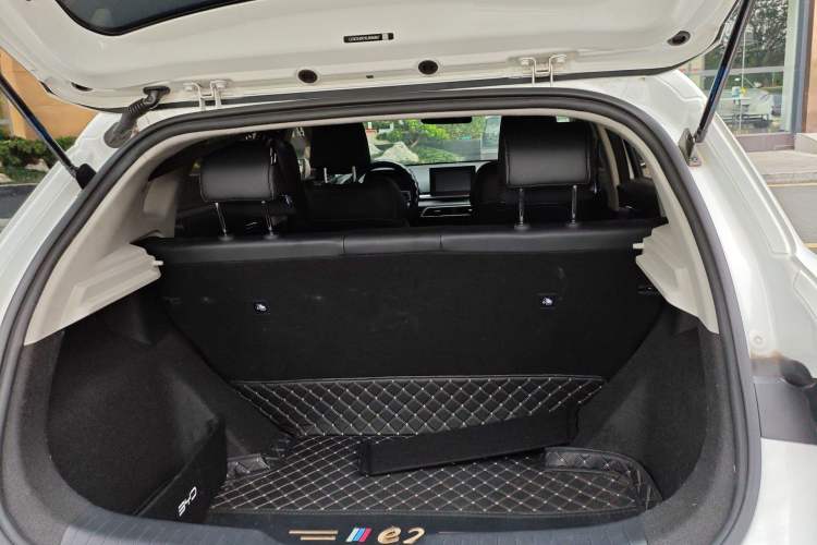 Used BYD e2 2019 Long-Range Version Yao·Luxury Trim
