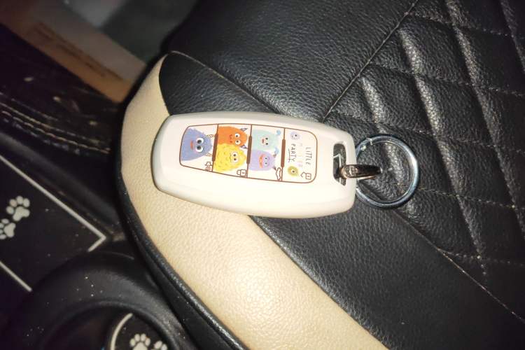 Used ORA White Cat 2020 360km Standard Version
