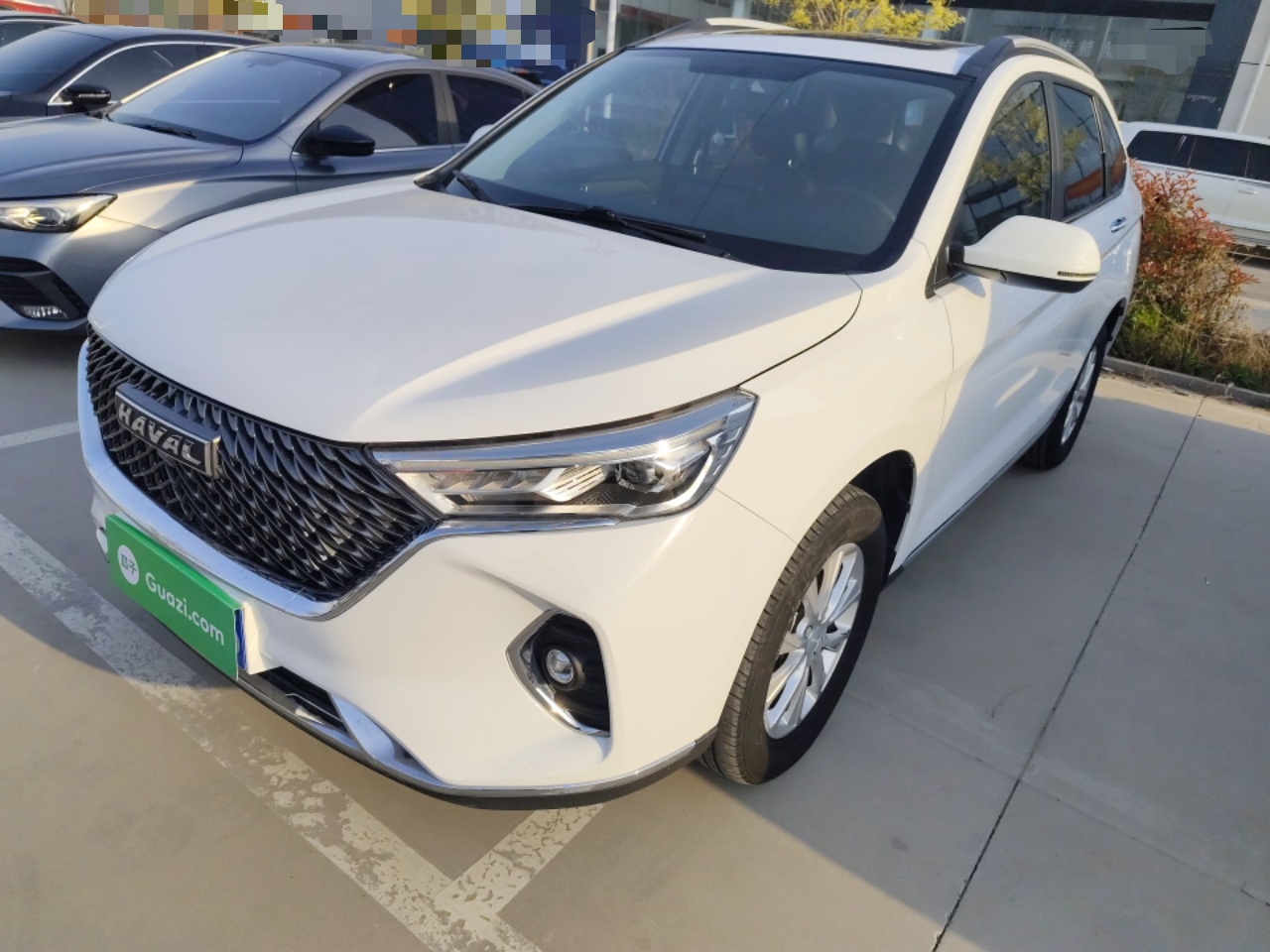 Parte inferior delantera