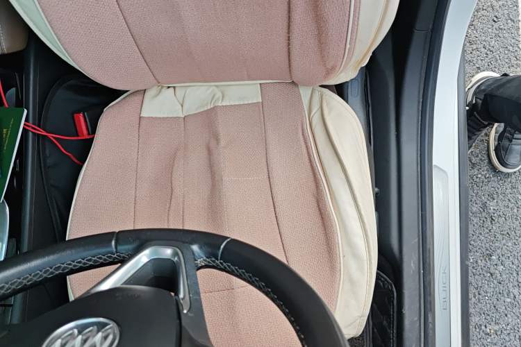 Used Buick Regal 2019 20T Elite Version China VI Standard