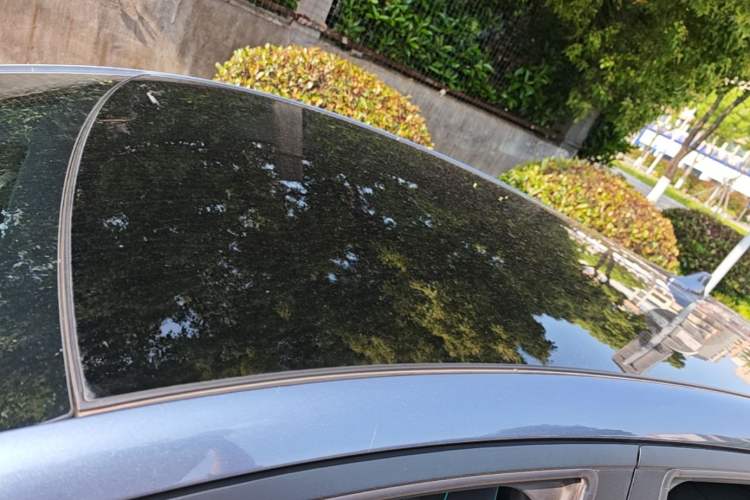 Used BYD Dolphin 2024 Honor Edition 420km Fashion Version
