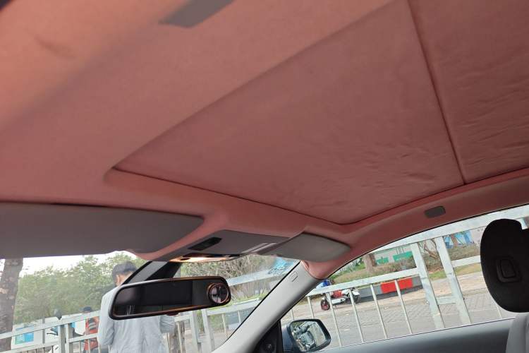 Used BMW 6 Series 2007 630i Coupe Headliner