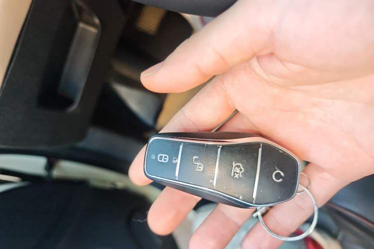 Used BYD Dolphin 2024 Honor Edition 420km Freedom Version