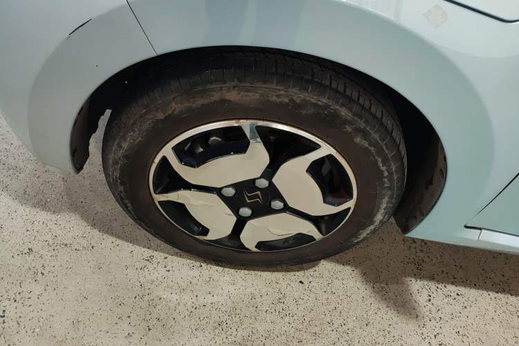 Used SOL E10X 2022 Flower Fairy Style Baby's Breath