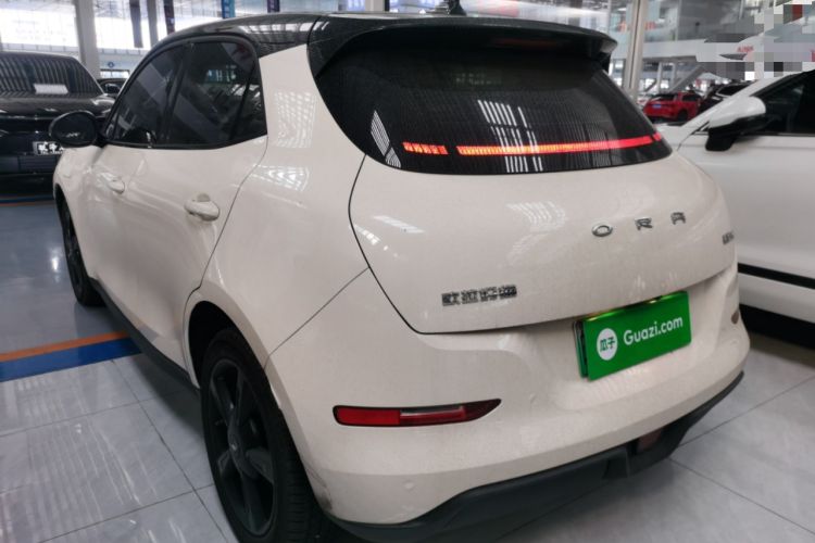 Used ORA Good Cat 2024 401 km Luxury Version