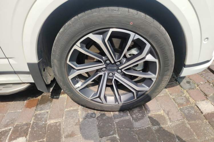 Used Lynk & Co 09 EM-P 2023 2.0TD EM-P Four-Wheel Drive Asian Games Executive Edition Five Seats
