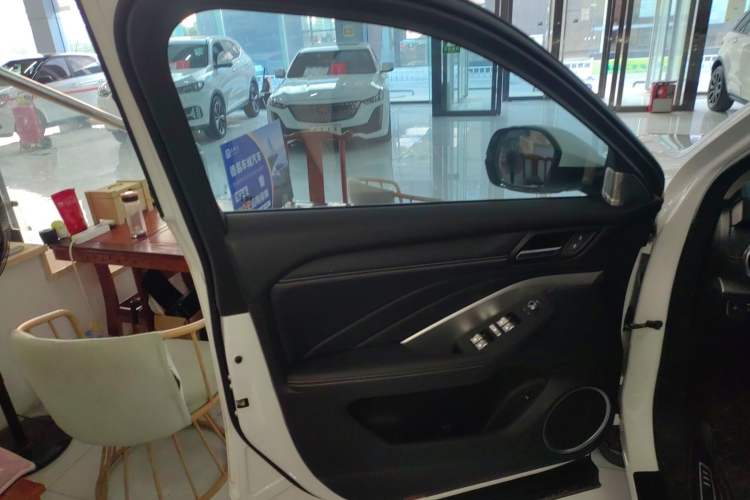 Used Wey VV6 2021 2.0T Two-Wheel Drive Smart Protection+