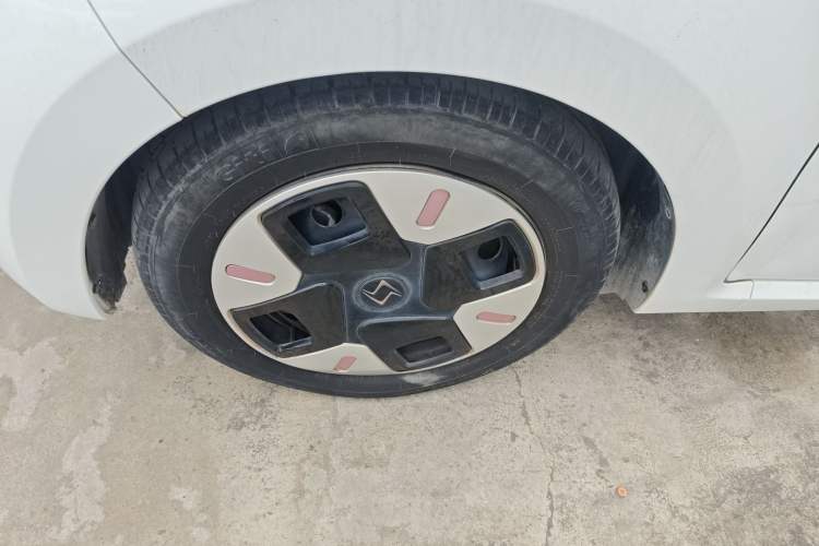 Used SOL E10X 2022 Flower Fairy Design Four-Leaf Clover