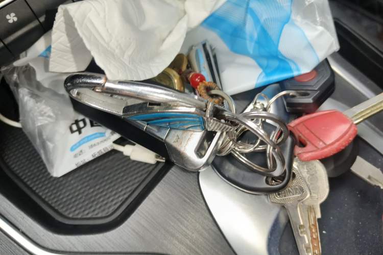 Used Wey VV6 2020 2.0T Two-Wheel Drive Smart Protection+ Vehicle Key