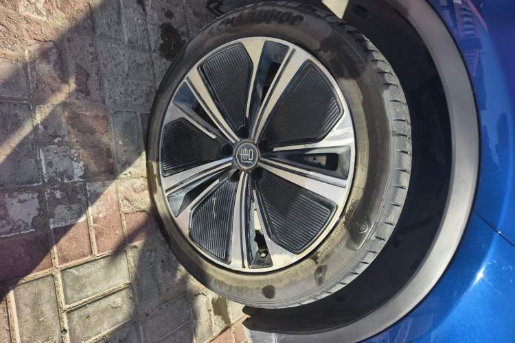 Used BYD Tang New Energy 2022 DM-p 215KM Four-Wheel Drive Flagship Model
