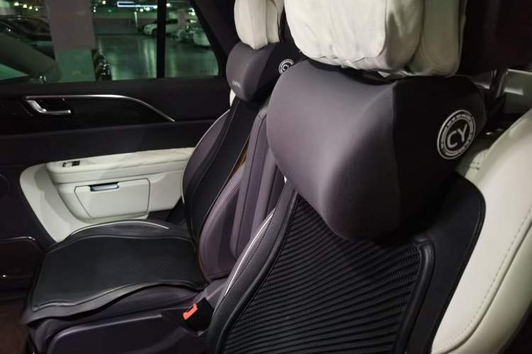 Used Hongqi E-HS9 2021 510 km Range Flagway Edition Six Seats Left Rear Seat