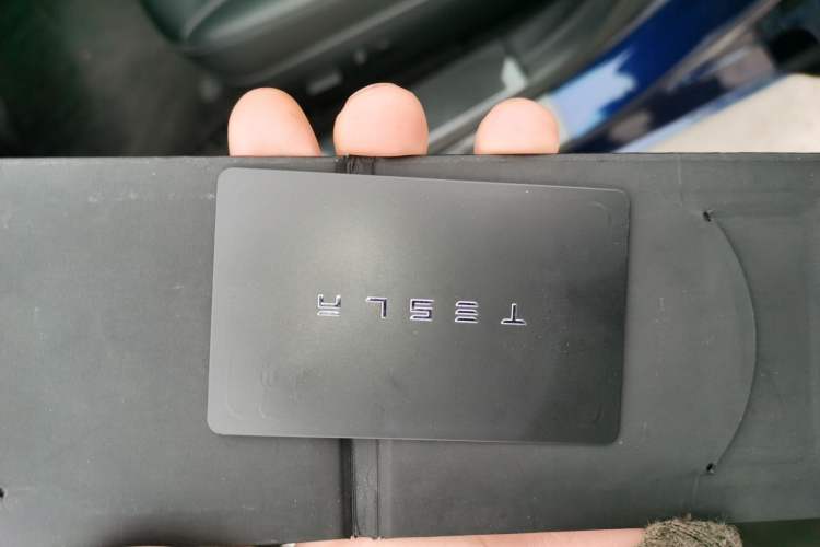 Used Tesla Model 3 2019 Standard Range Rear-Drive Upgraded Version
