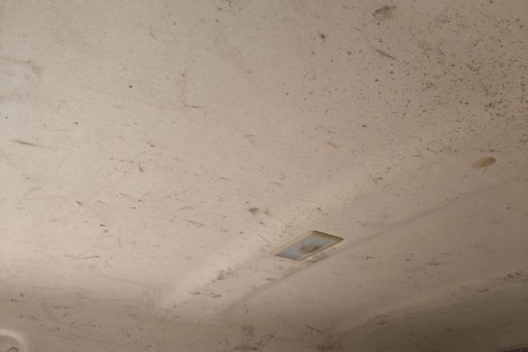 Used Ruichi EC35 2021 EC35 II Standard Edition 38.7 kWh Headliner