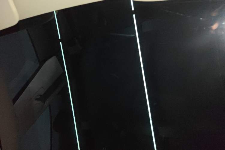 Used Tesla Model 3 2021 Standard Range Rear-Wheel Drive Upgraded Version 3D6
