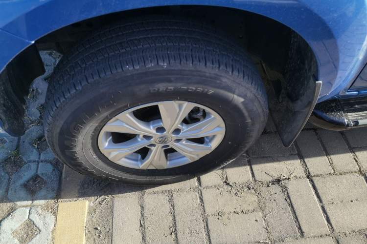 Used Dongfeng Ruichi 6 2021 2.3T Automatic Two-Wheel Drive Diesel Luxury Long-Box M9T