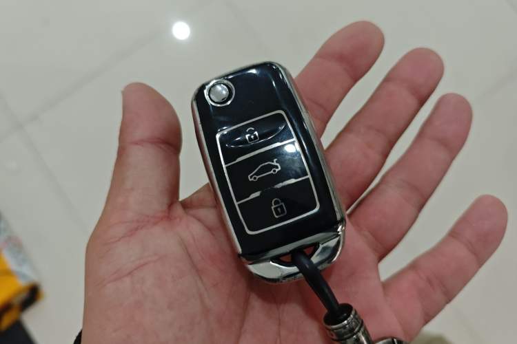 Used Qiyuan Lumin 2023 205km Xiangqin Version
