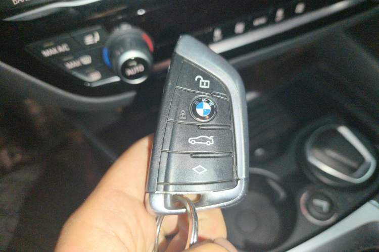 Used BMW 5 Series 2018 528Li Launch Special Edition