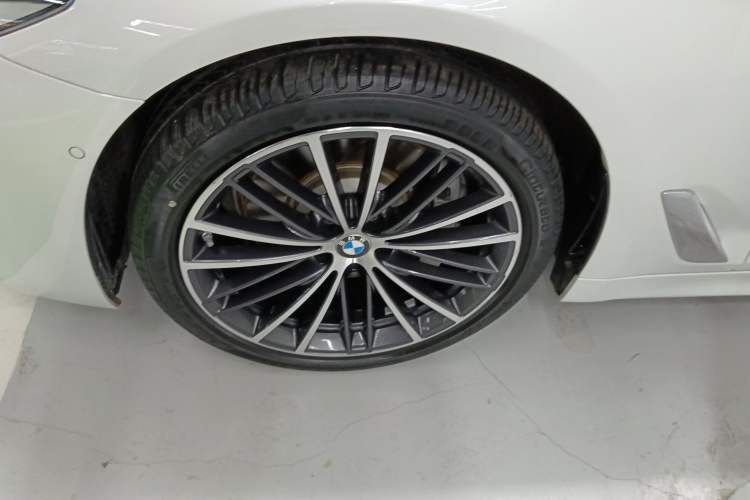 Used BMW 5 Series 2020 530Li Leading Model M Sport Package Exterior 4