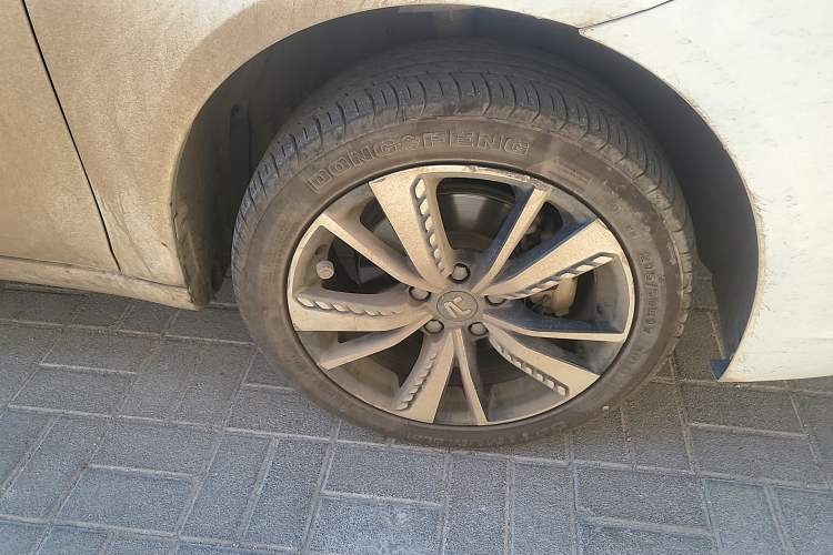 Used Rising ER6 2021 New Dynamic Edition 520km Smart Leading Version
