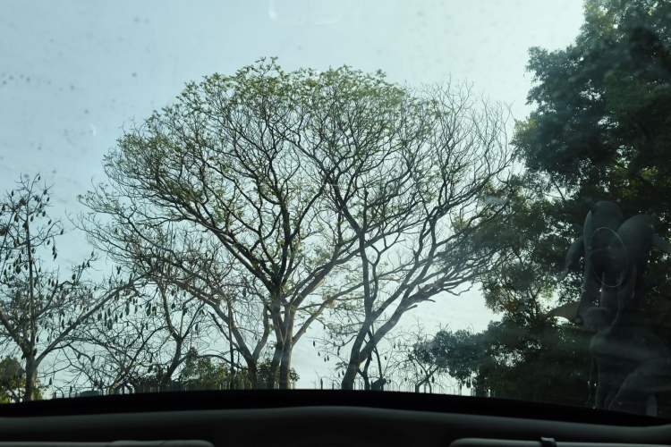 Used Peugeot 3008 2011 1.6T Luxury Model
